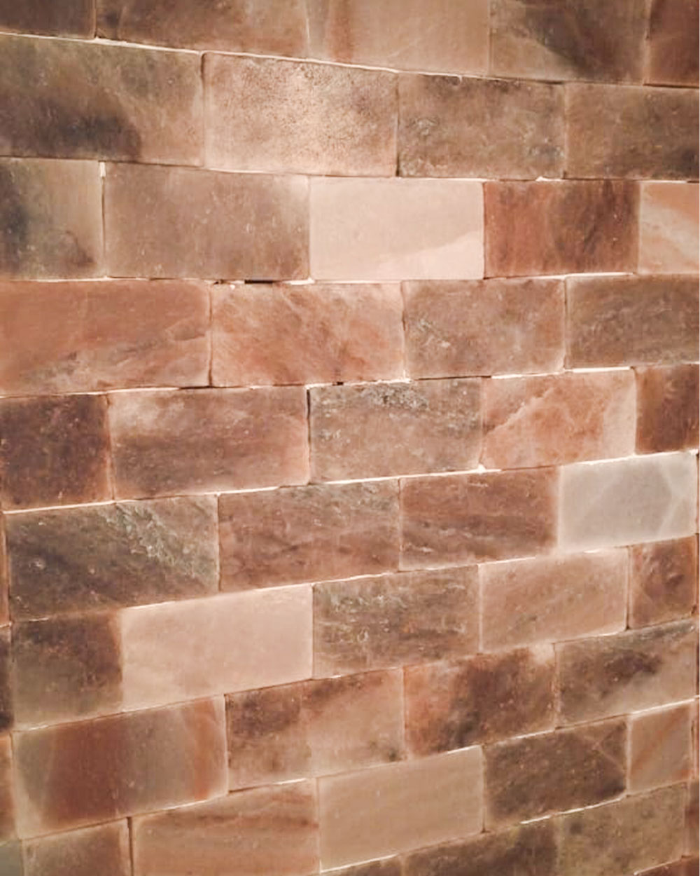 Salt Wall